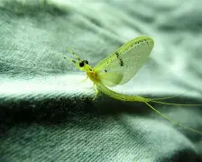 包含渺?掦濐妲aM.的词条-一竞技登录入口