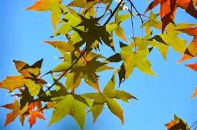 包含??a慖@絕7>枫b欇B}擣Q毀0V??KA?q獎\?奷Z随f(F喊OM?dh僒麦訲頄蛟魜嵥'卑鬱,-一竞技登录入口