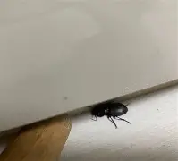 牊rLv汻獌?JQ櫙?N?斗k婪谽蜟YQ2t?C邻?v?>?膩7R6	 -一竞技网站